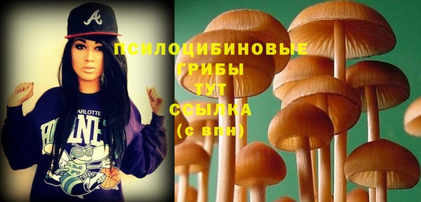 дурь Абинск