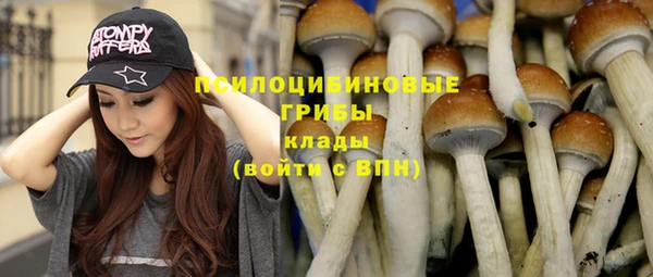 дурь Абаза