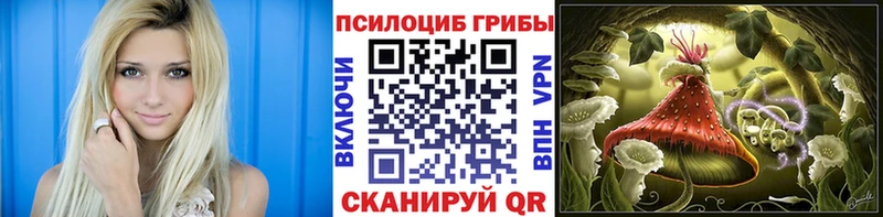 Псилоцибиновые грибы Magic Shrooms  Людиново 